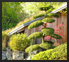 garten21