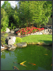 Showbecken